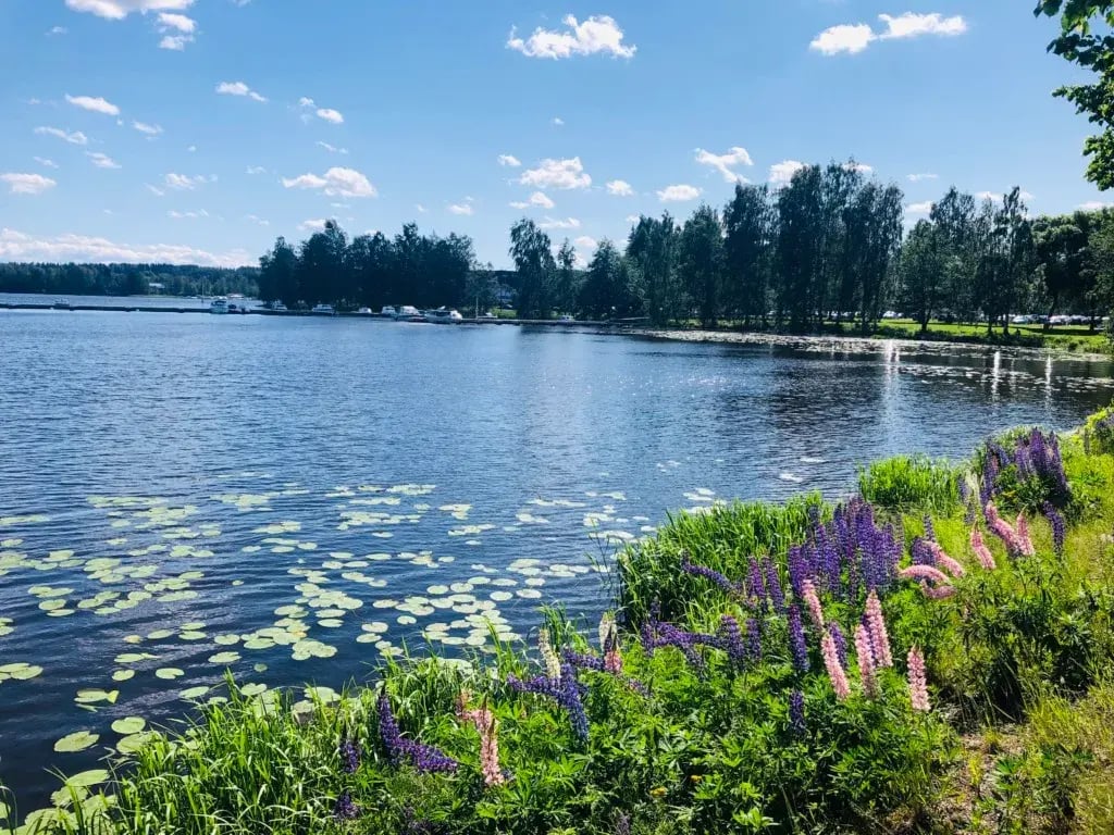 hameenlinna-kelluvan-rakentamisen-projekti-bluet
